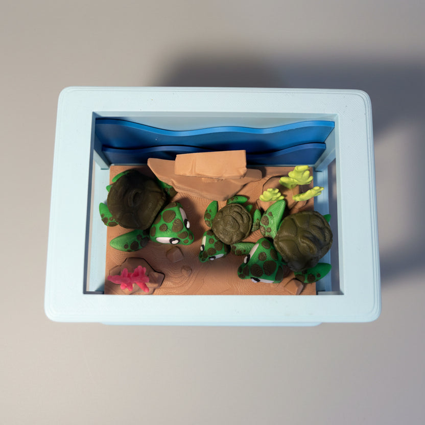 Turtle House - Pet Alive