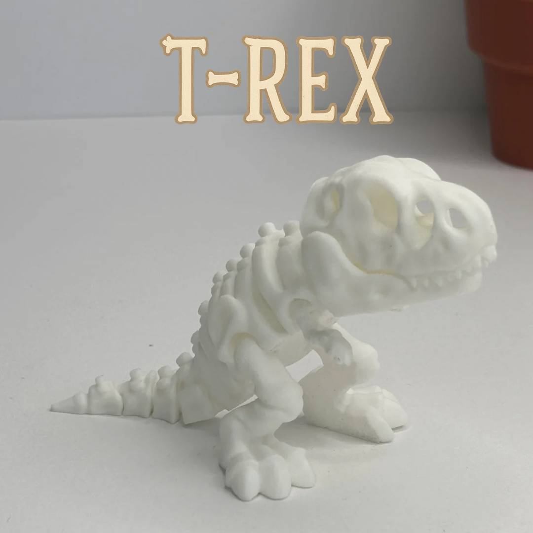 Skeleton Expedition – 3D Printed Model