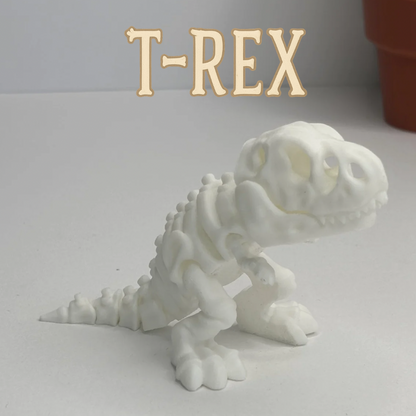 Skeleton Expedition – 3D Printed Model