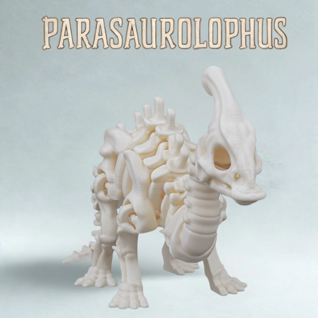 Skeleton Expedition – 3D Printed Model