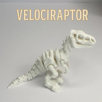 Skeleton Expedition – 3D Printed Model
