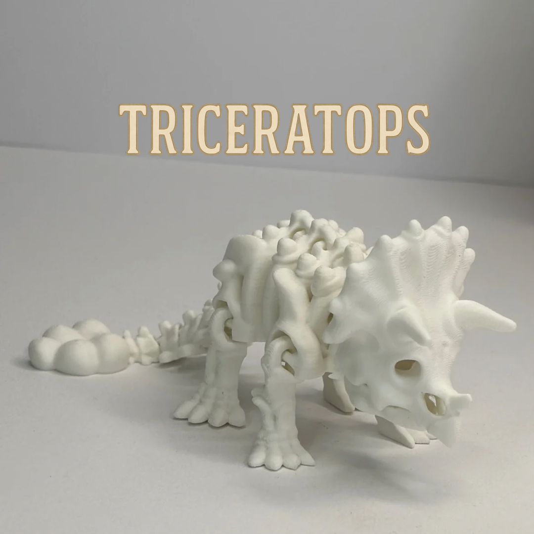 Skeleton Expedition – 3D Printed Model