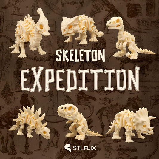 Skeleton Expedition – 3D Printed Model